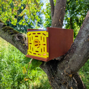 Piège à frelons asiatiques en bois 🐝🛠️