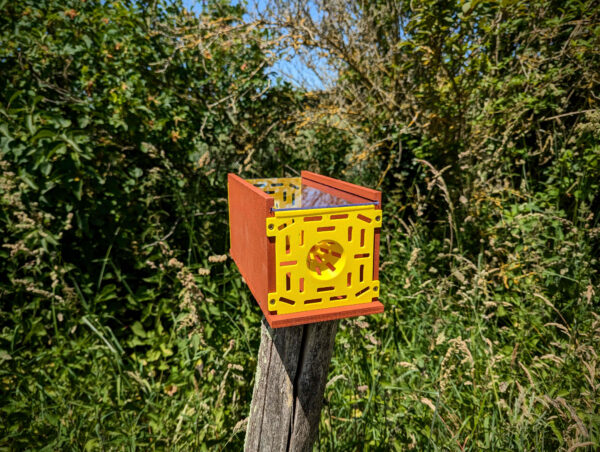 Piège à frelons asiatiques en bois 🐝🛠️ – Image 4