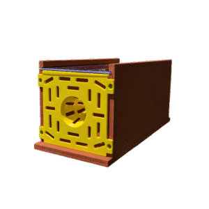 Piège à frelons asiatiques en bois 🐝🛠️